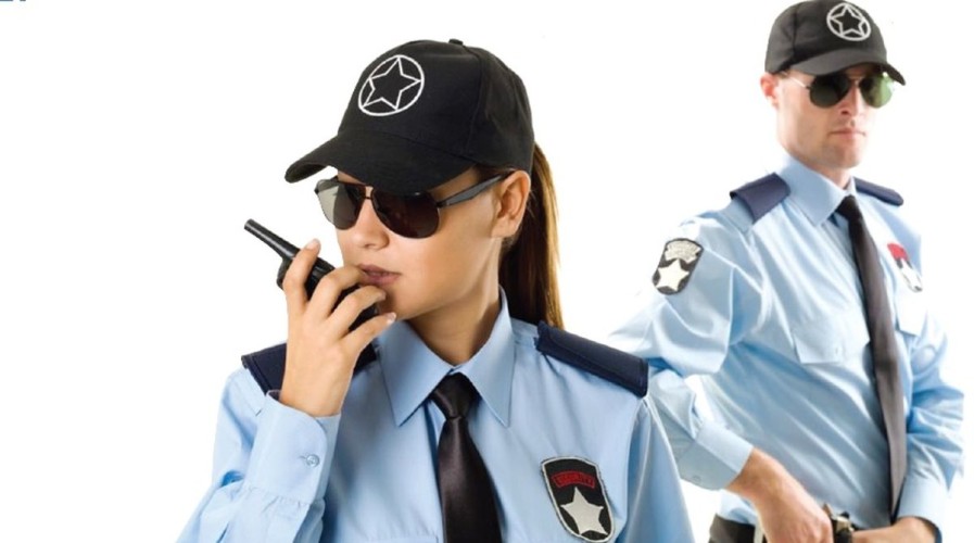 Security Services and Agencies